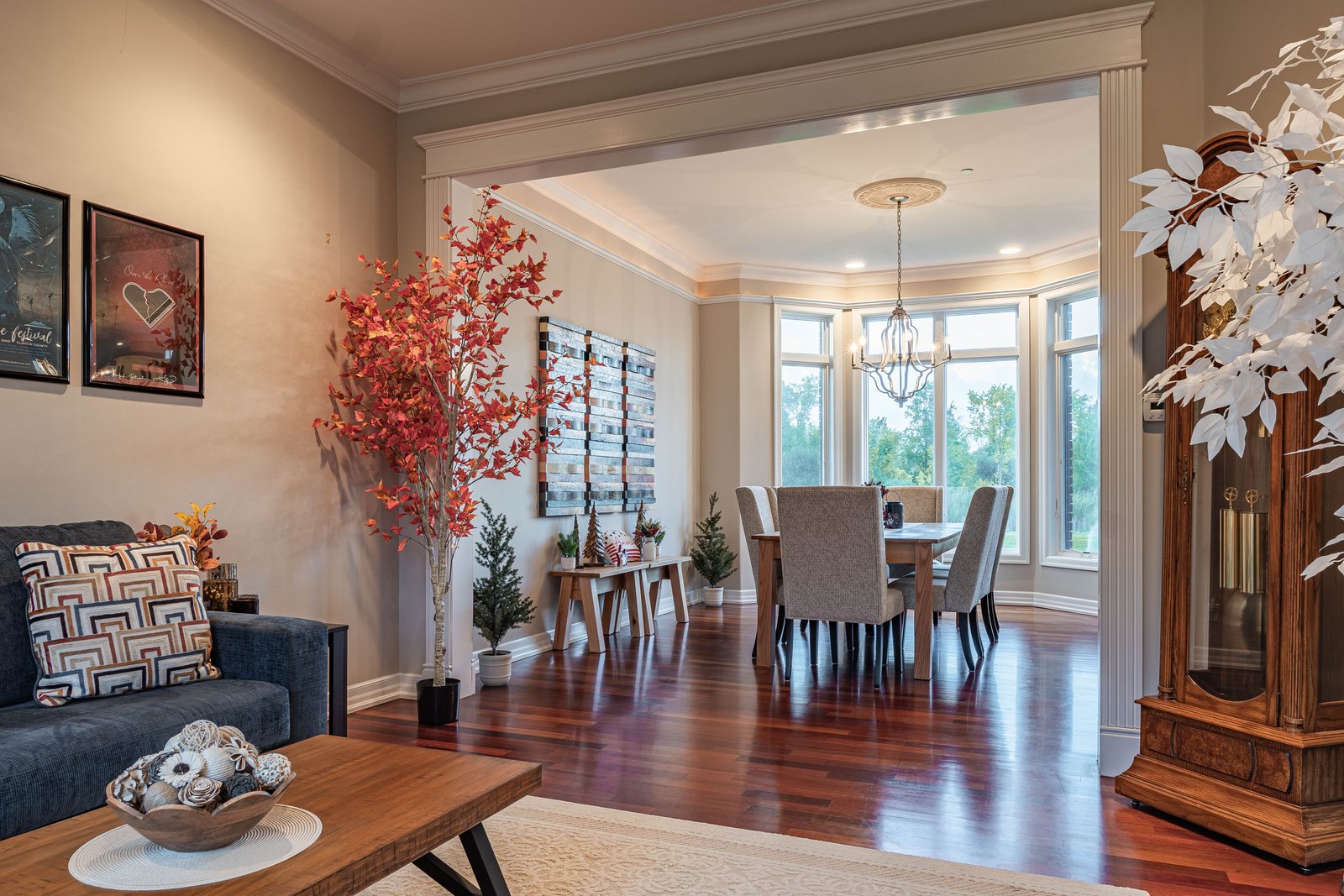 Photography image 10